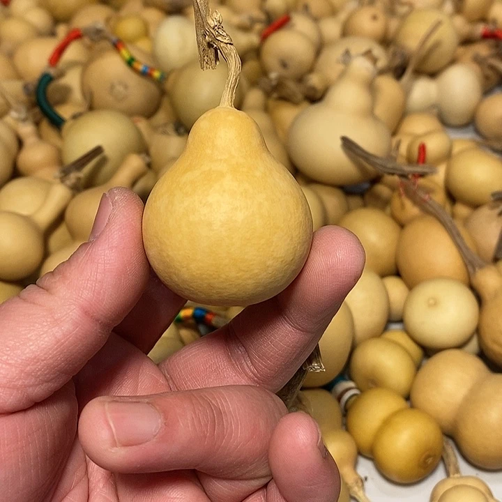 向***生精品葫芦手把葫芦47