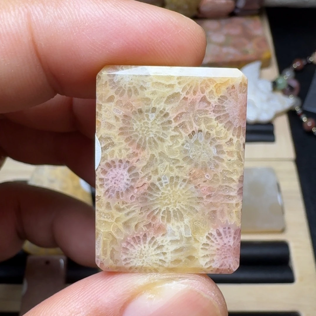 未镶嵌纯天然色有机玉石保真色硅化玉