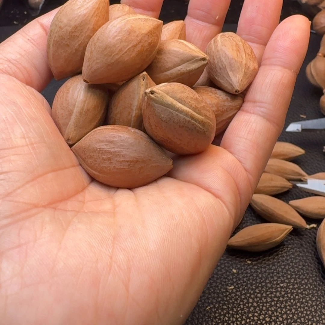 强***活橄榄核手串/手链1