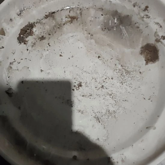 瓷大茶盘口径32……