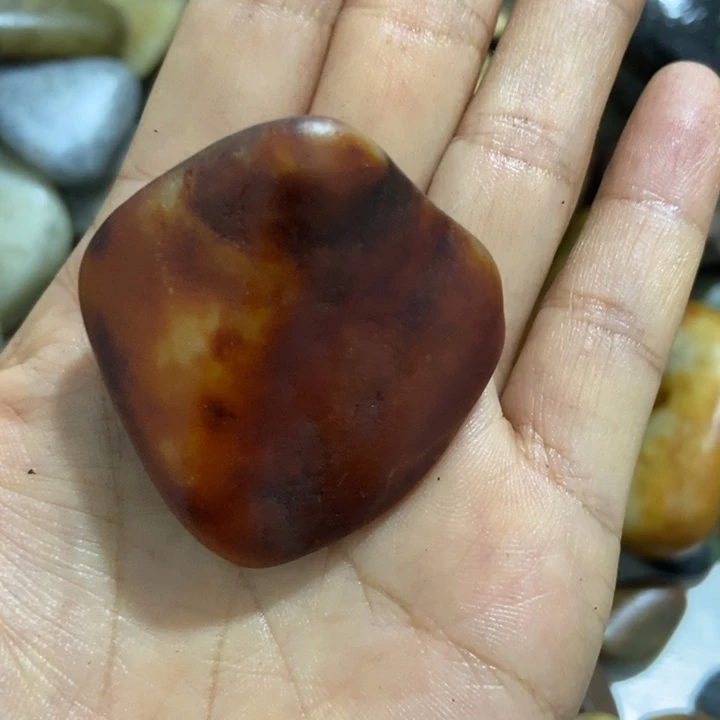 会***鱼和田玉（糖玉）未镶嵌挂件