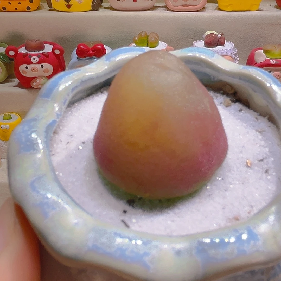 009灯泡3.2厘米带盆带土