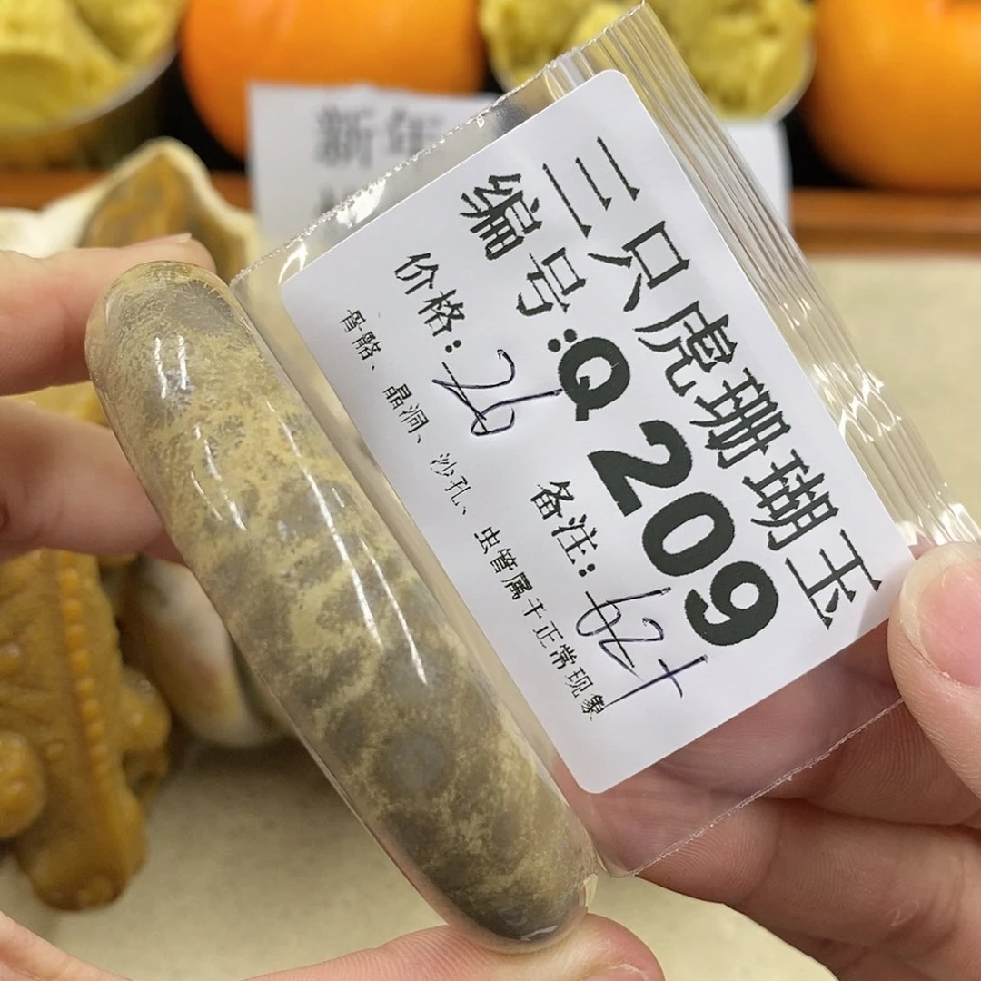 硅化珊瑚（珊瑚玉）1未镶嵌与**邻