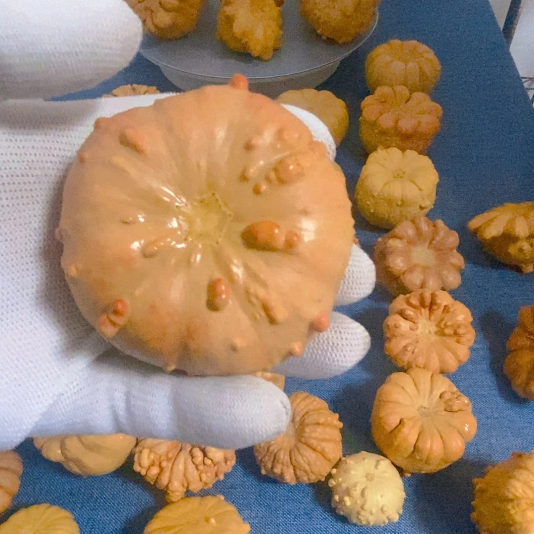 铭***全葫芦墨西哥七彩疙瘩葫芦手把件