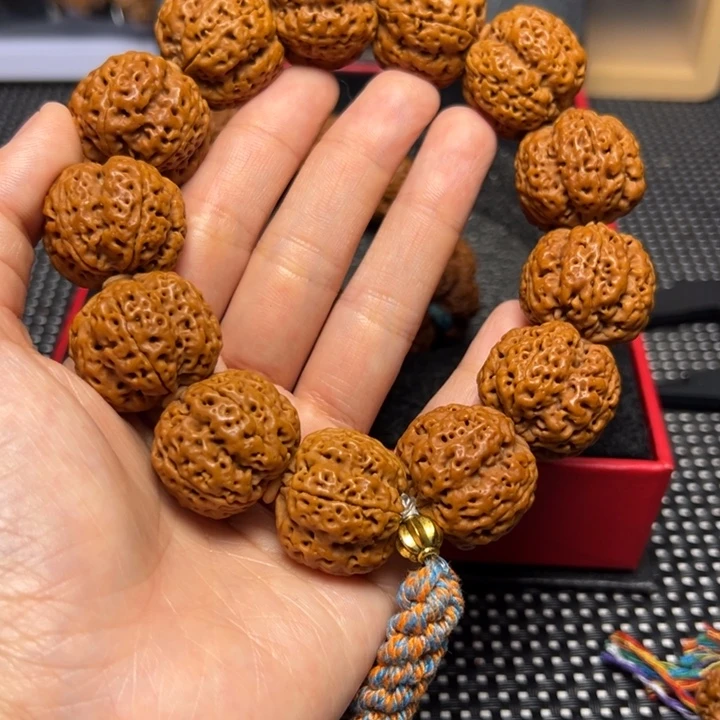 金刚菩提手串23五星上将