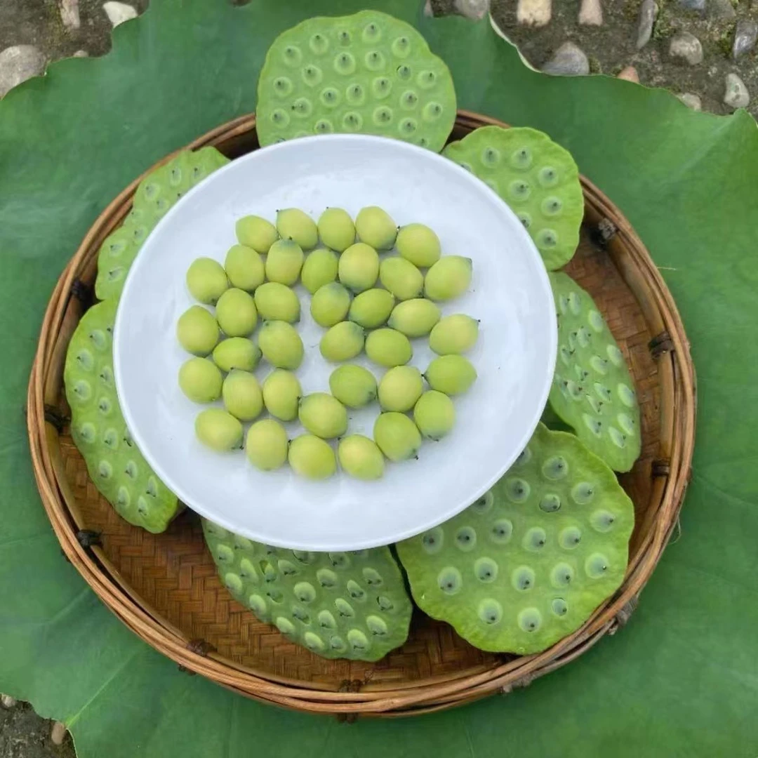 新鲜莲蓬现摘现发生吃去芯莲子米