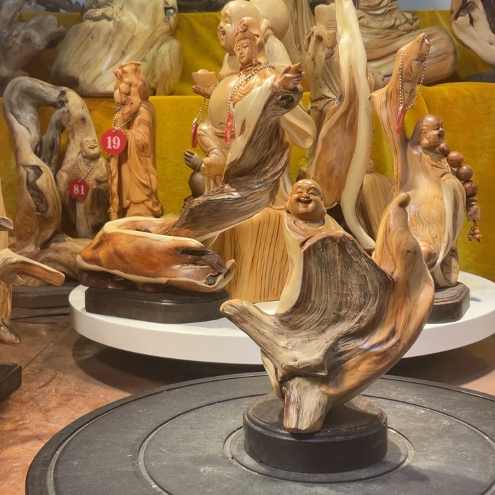 柏木崖柏   弥勒