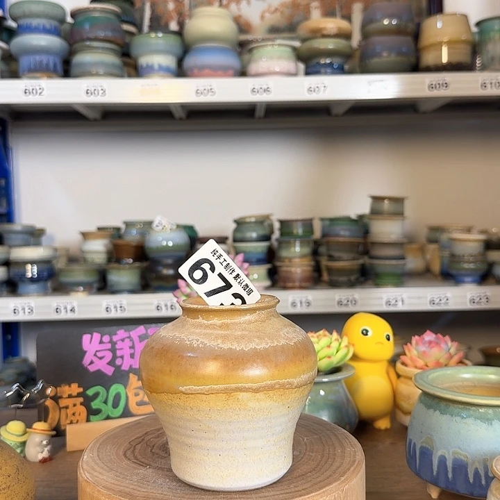 虎*妈景德镇手工陶瓷盆 口5.5