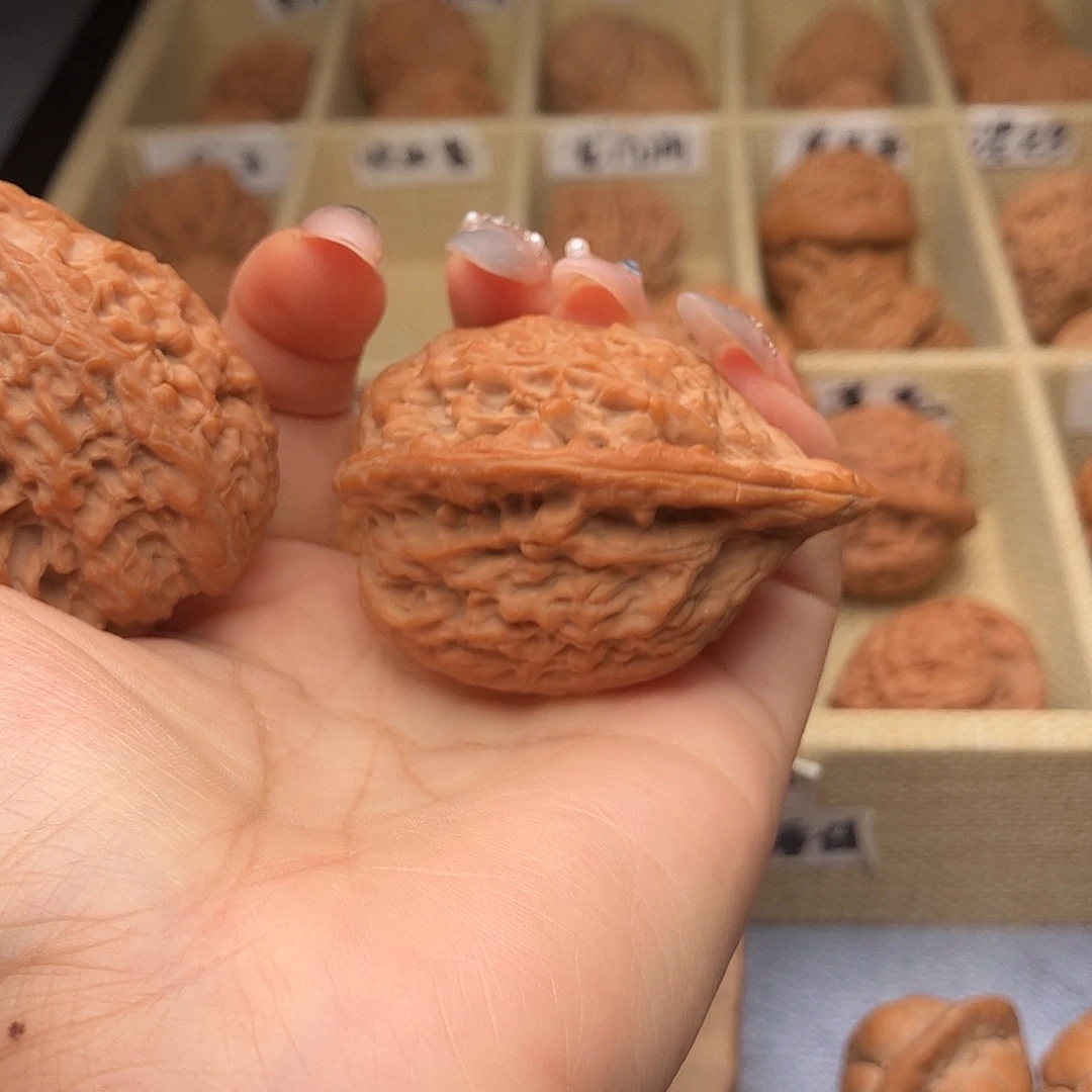 赵****文玩核桃把件吸血鬼