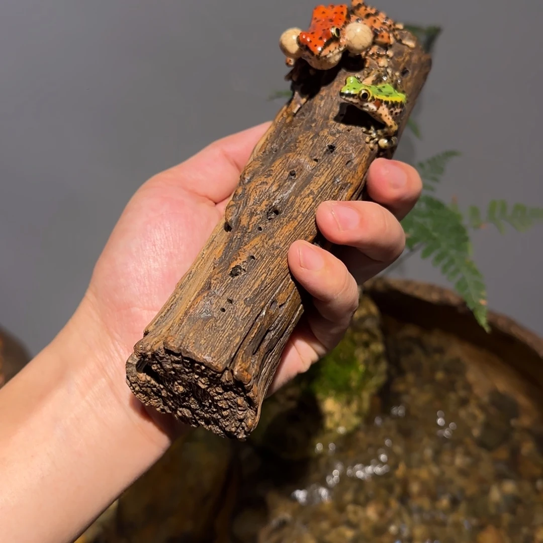 鑫*扬姑姑姑姑姑姑姑姑姑姑姑姑姑姑