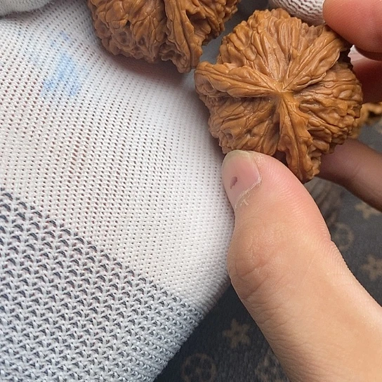 锦*白狮11111111111111
