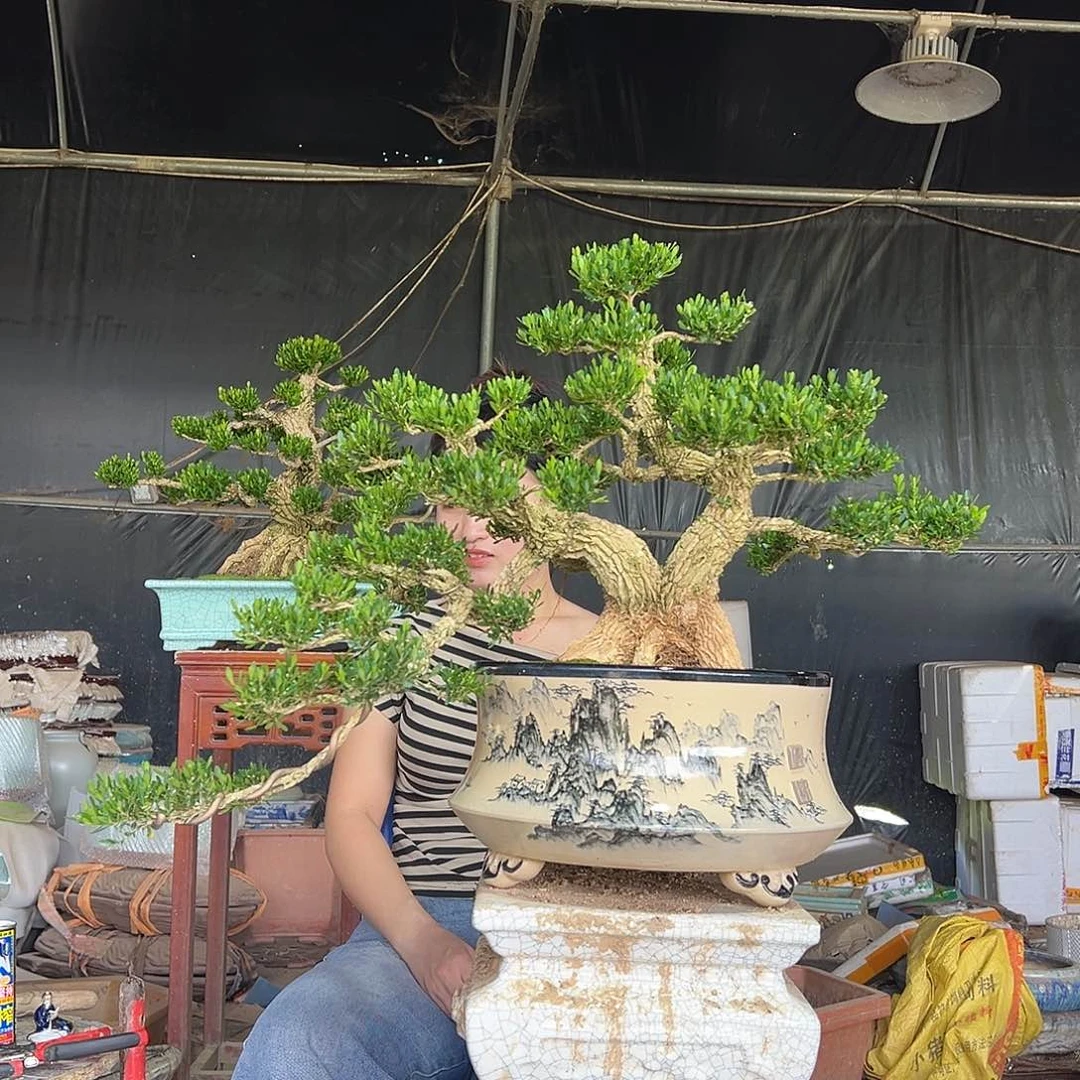 琉璃手工艺品黄杨