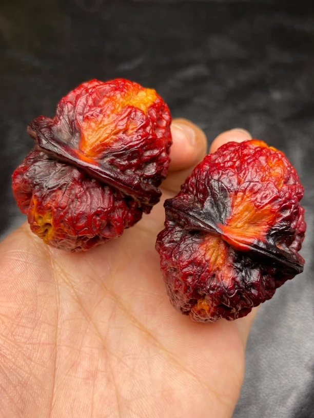 云南铁核桃 文玩核桃 47尺七彩巨无霸发货图片同款随机一对