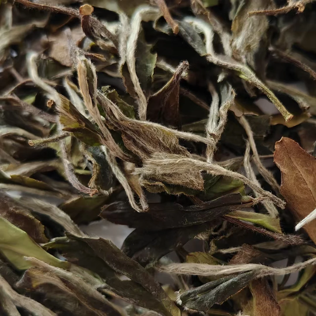 福鼎白茶高山茶2025年春寿眉散茶花果香