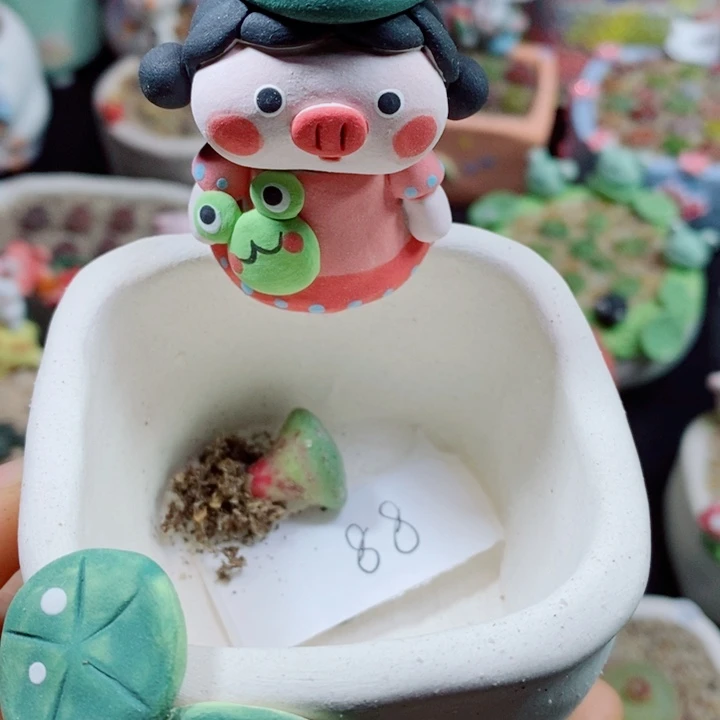 游***鱼生石花花花花花花花花931