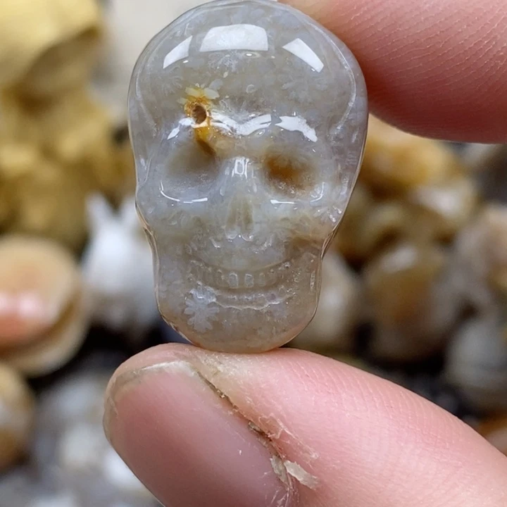 颈饰未镶嵌硅化珊瑚（珊瑚玉）有瑕 小