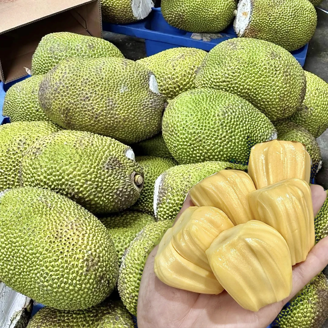 越南进口（黄肉整果子）菠萝蜜水果当季新鲜香甜好吃需判断熟度