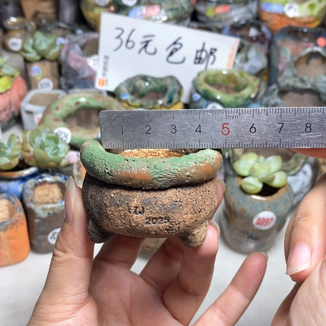 拍3送一个小礼物