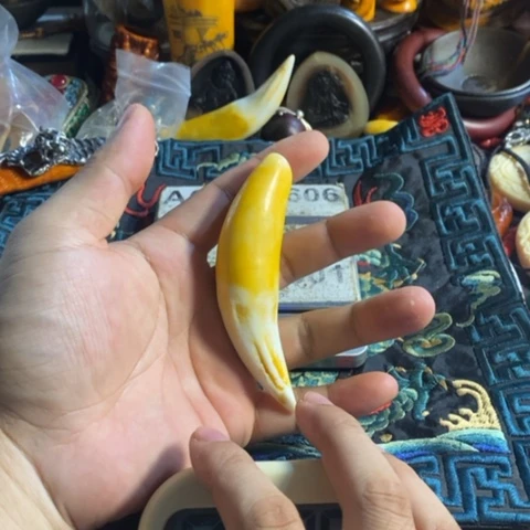 瓷片寻呼台的人也太少见啦哈