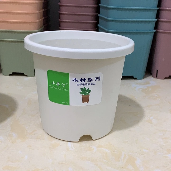 小果汀15口白10个无托