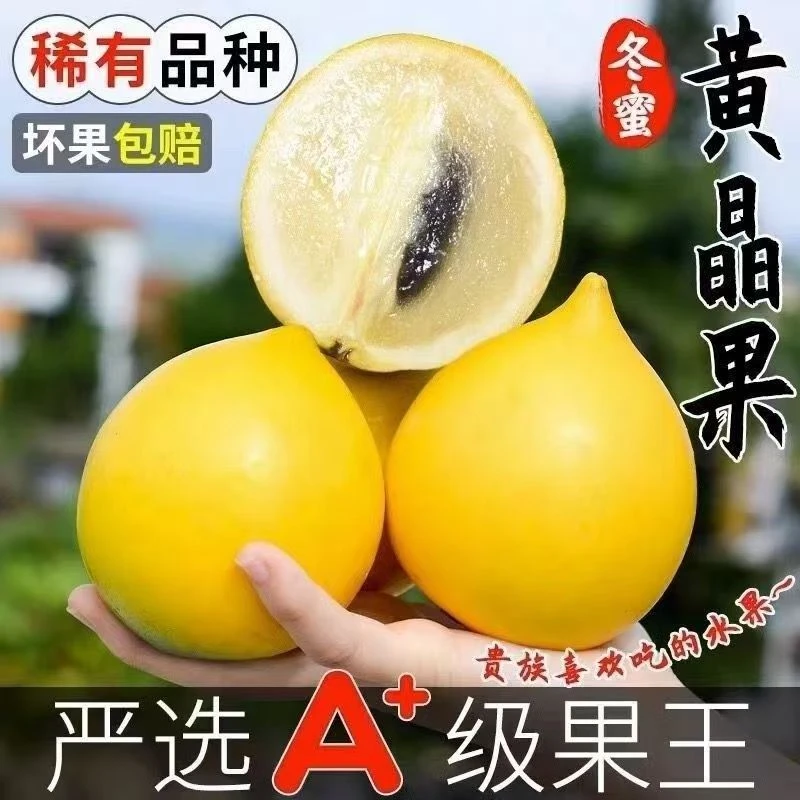 【顺丰包邮】冬蜜黄晶果雅美果当季牛奶黄金果新鲜燕窝果稀有水果