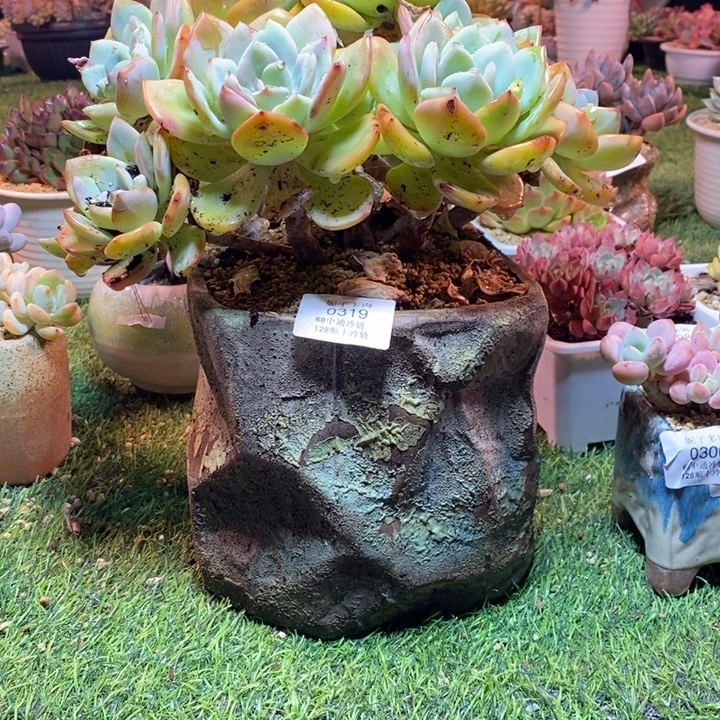 彩***10319啊啊啊啊啊啊啊啊啊啊啊