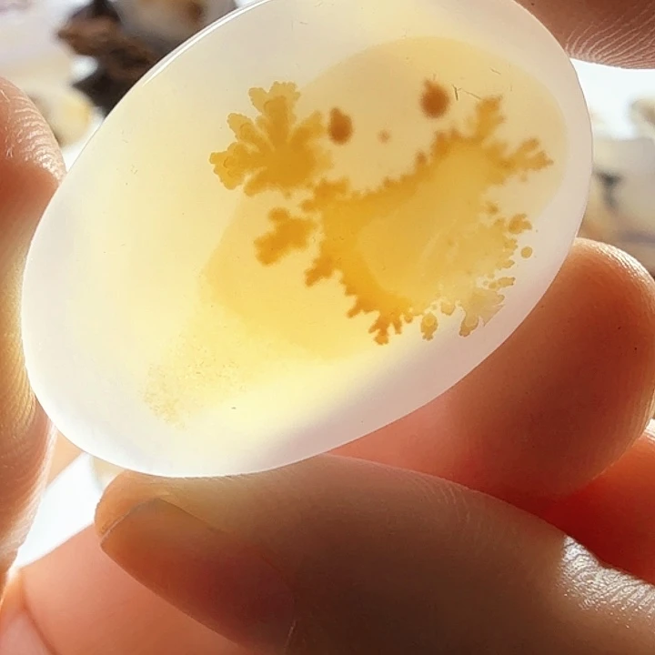 未镶嵌玛瑙/玉髓珠宝半成品