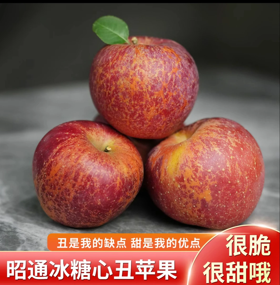 云南昭通红露丑苹果当季新鲜水果脆甜冰糖心现摘5/9斤生态水果