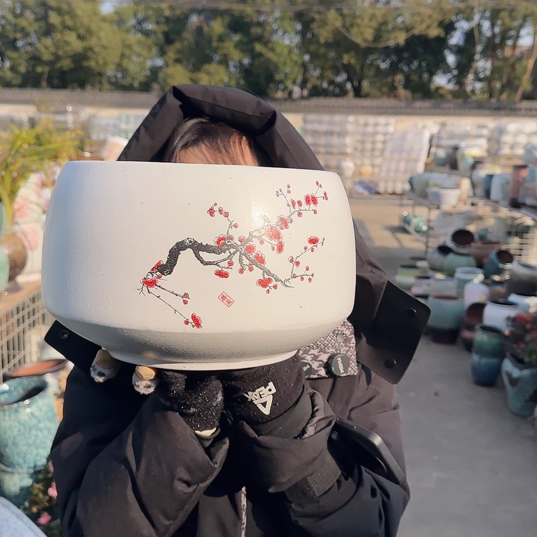 王嫂花盆1225-417高16口24