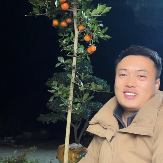 无花朵金弹子庭院原生品种