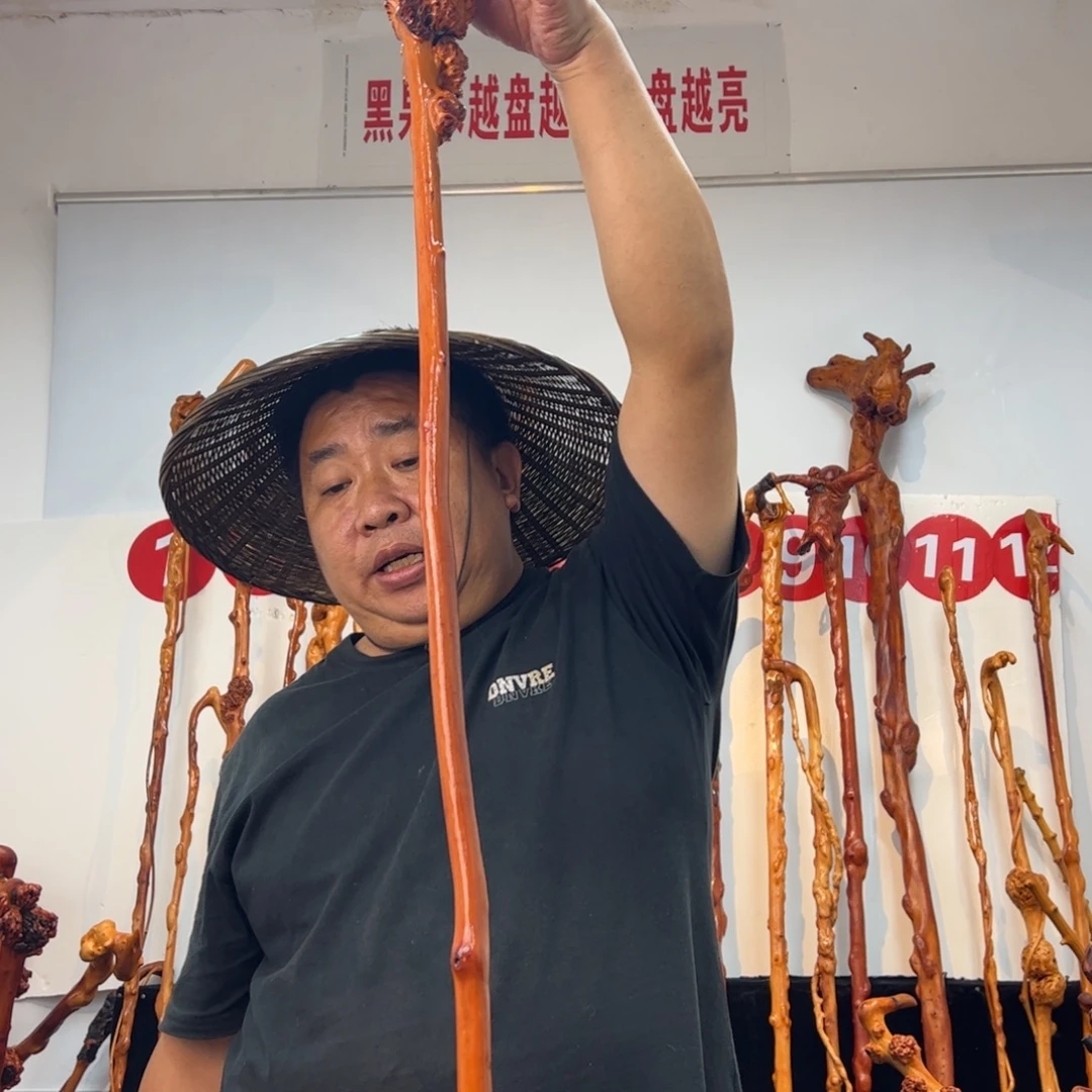 忘***你黑果木其他黑果木241