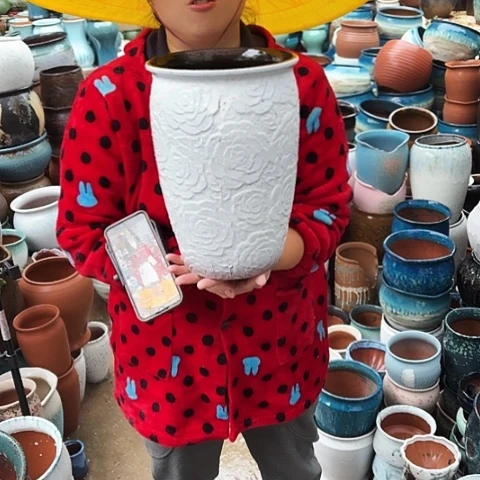 20口30高瑕疵一个盆。