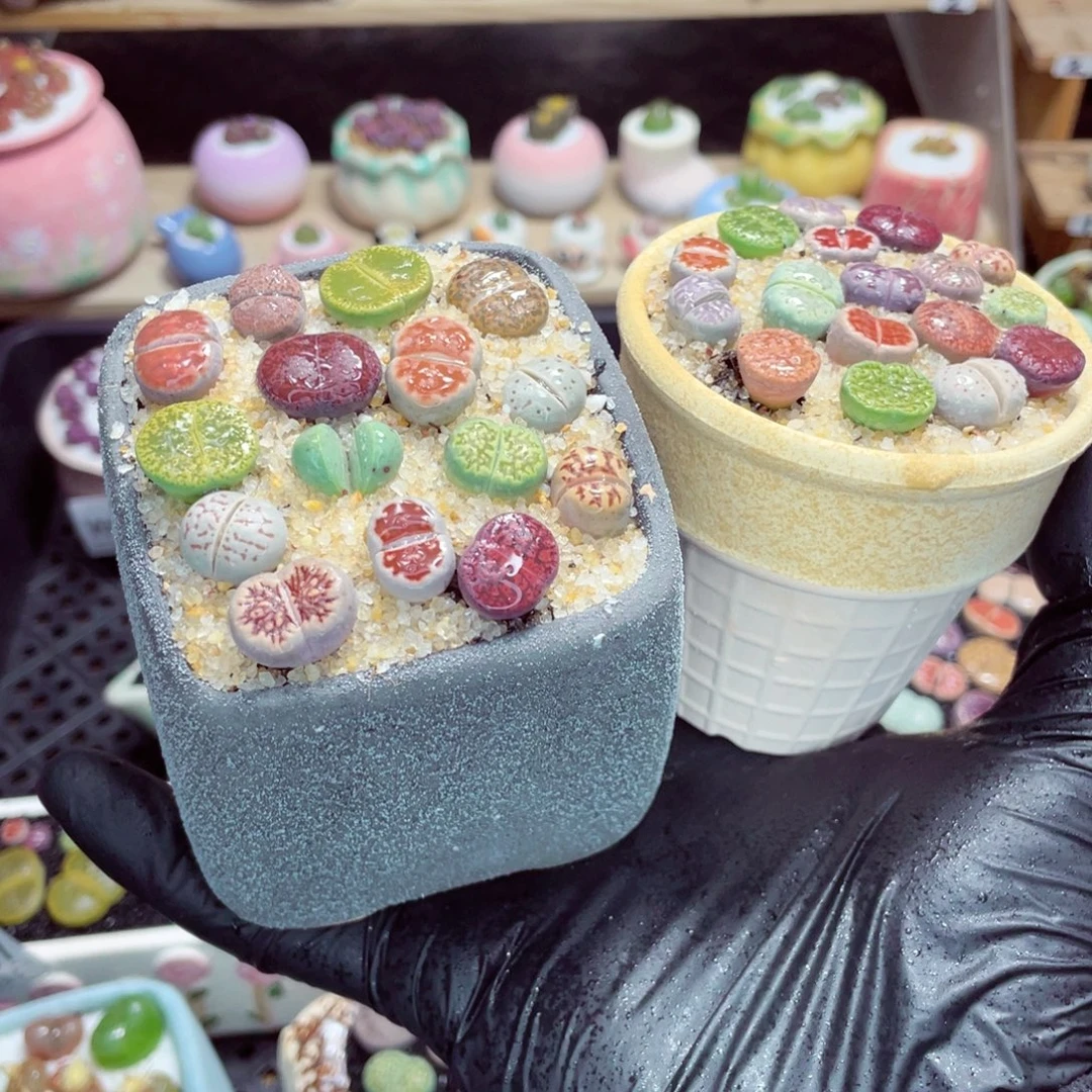 夜间零下地区拍保温箱w5659