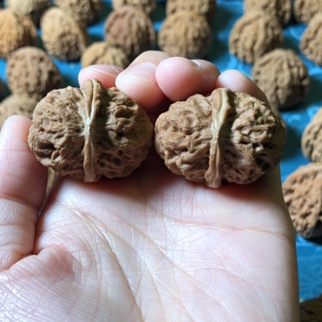 【闪购商品】文玩核桃把件铁核桃