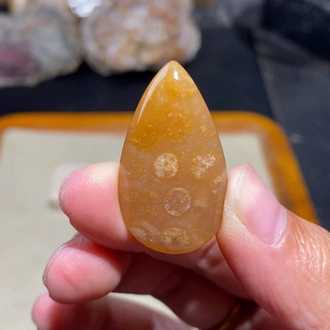【闪购商品】硅化玉珊瑚玉未镶嵌