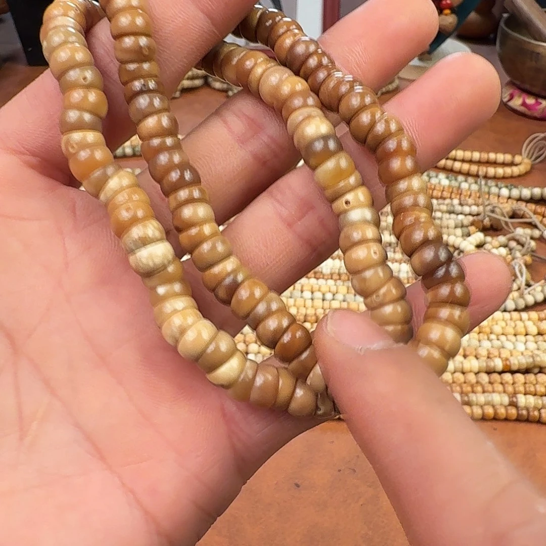 手串菩提根/象牙果龙脊菩提大肠带月