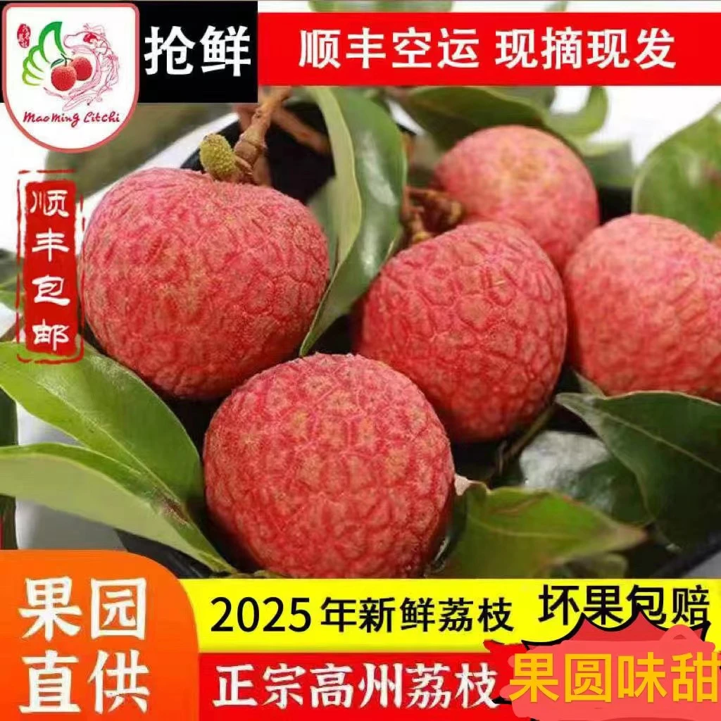 正宗广东高州白糖罂荔枝应季新鲜水果现摘现发清甜爆汁