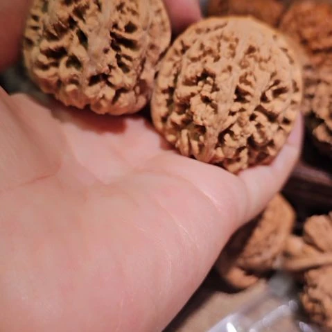 文玩核桃吊坠42粗筋