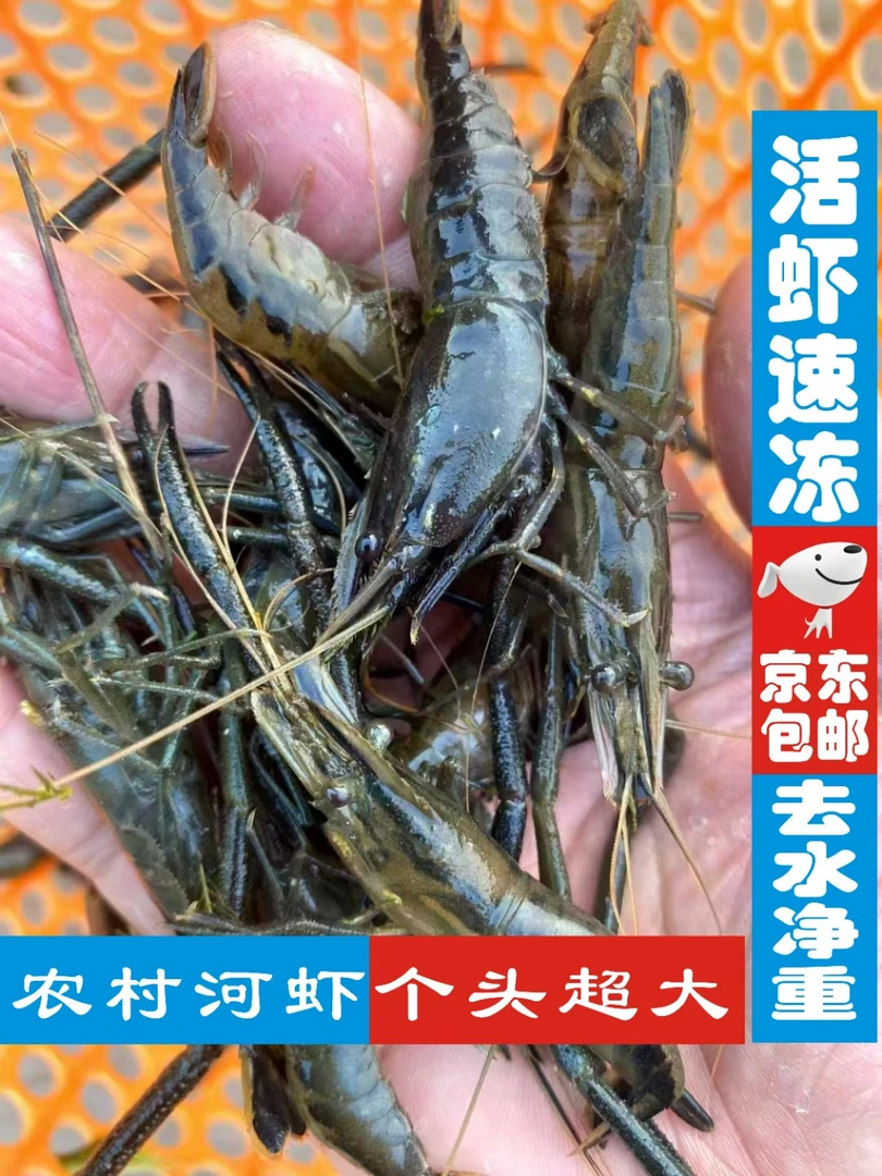 湖北荆门京山农家淡水小河虾淡水虾小青虾（冰鲜）