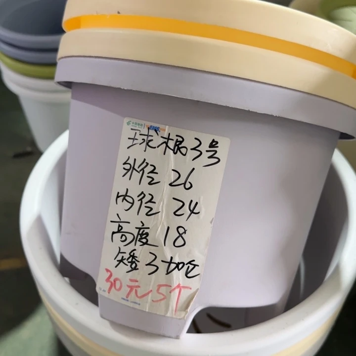 球根3#口径26无托灰白6个