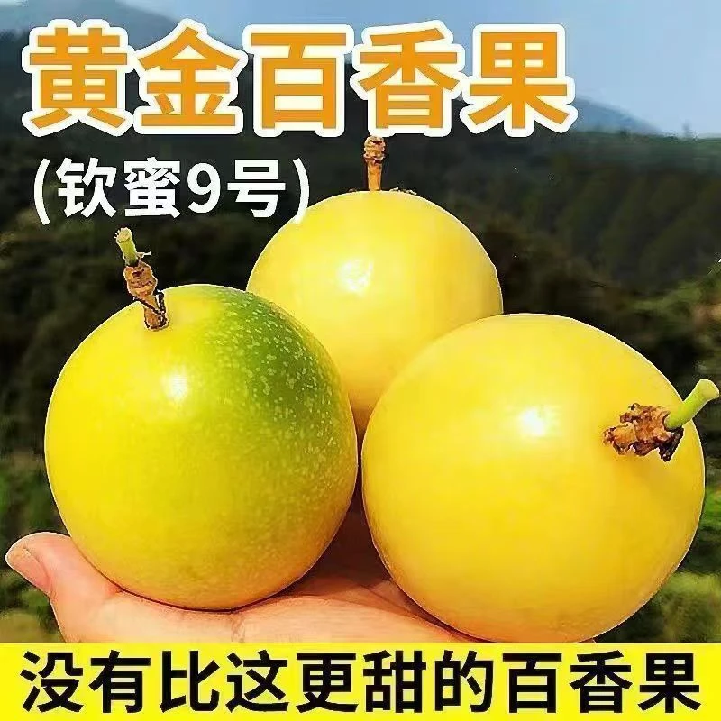 云南黄金百香果钦蜜9号百香果新鲜当季水果口感香甜饱满多汁