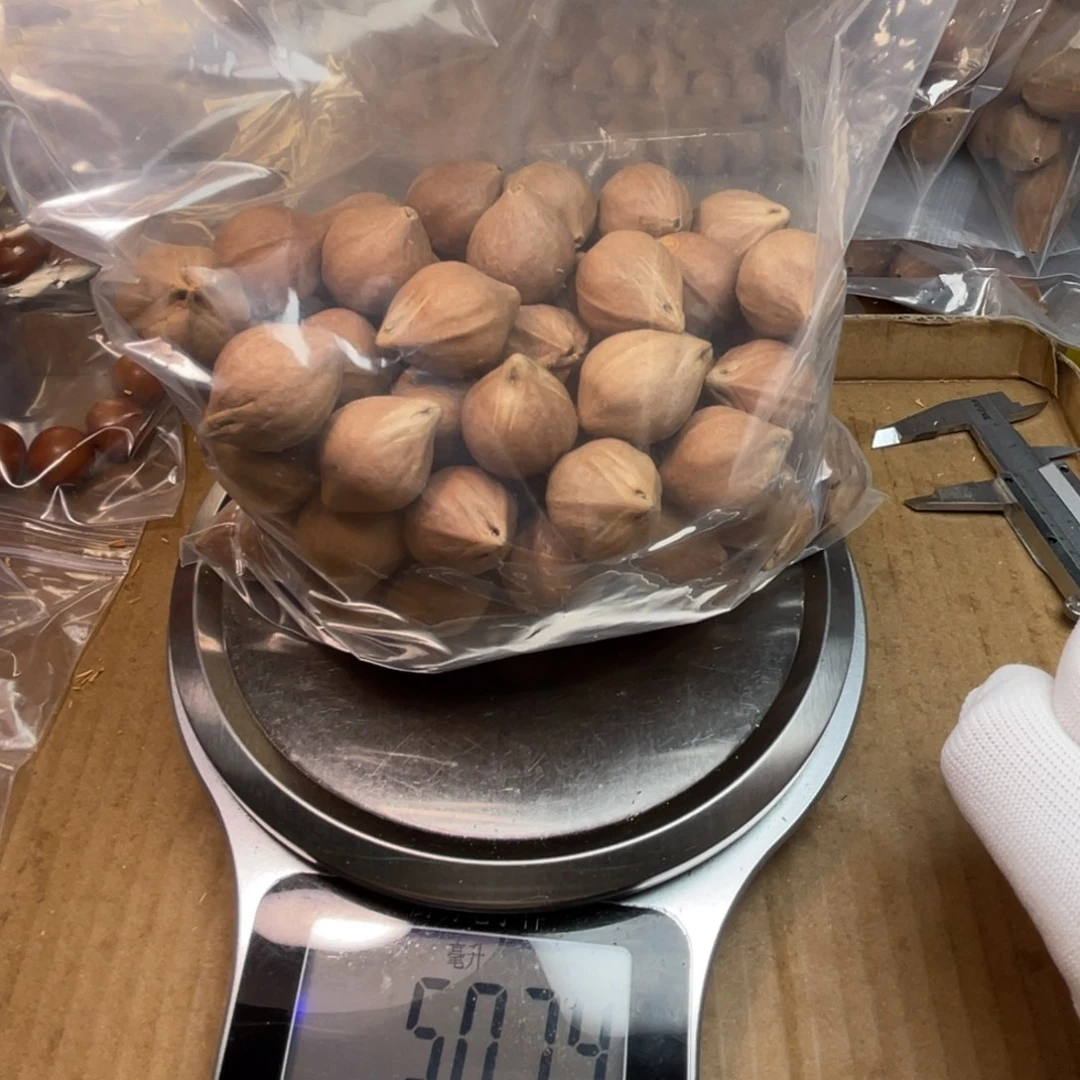 我***鸟橄榄核手串/手链1