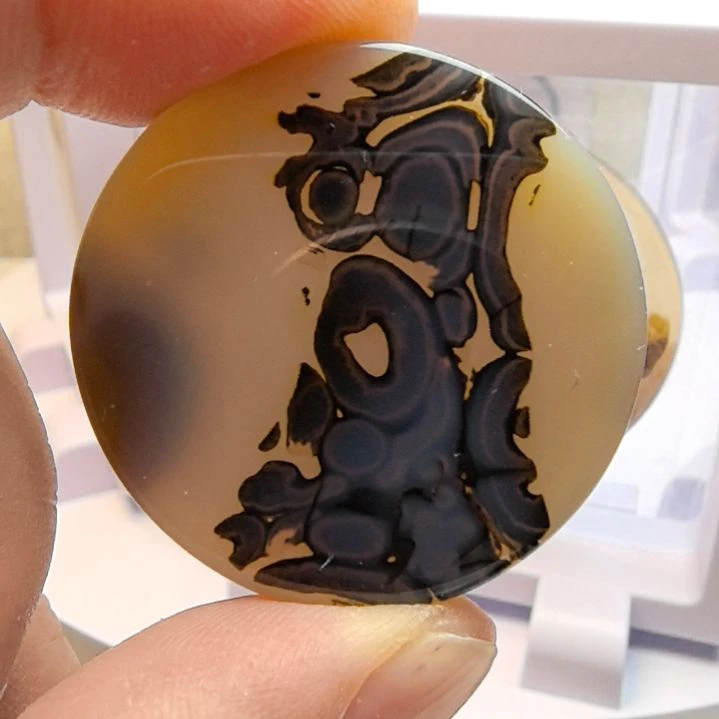 非金属时尚饰品15