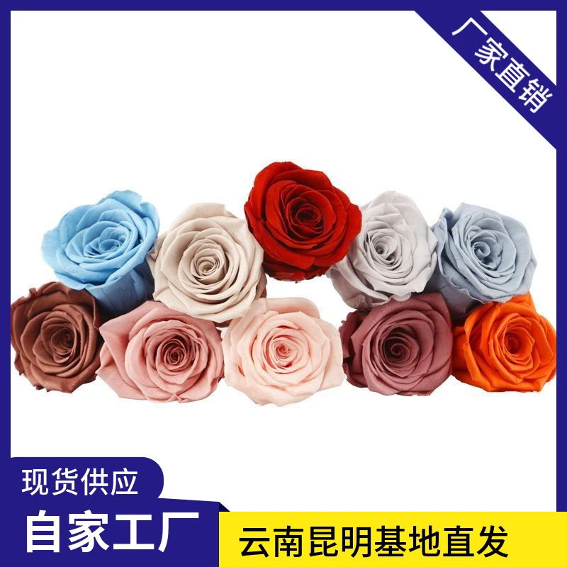 永生玫瑰花工厂批发花店花材diy材料 c级玫瑰处理