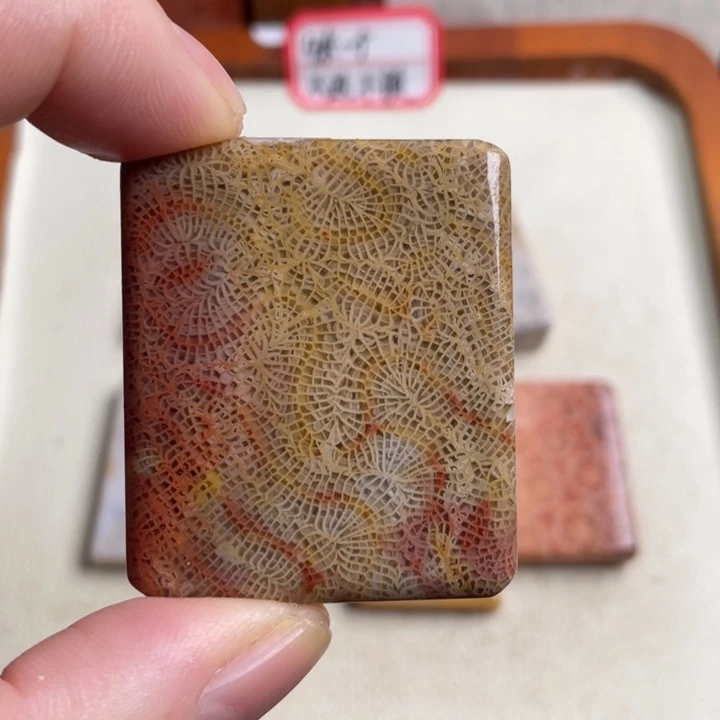 合金珠宝奇石硅化玉57