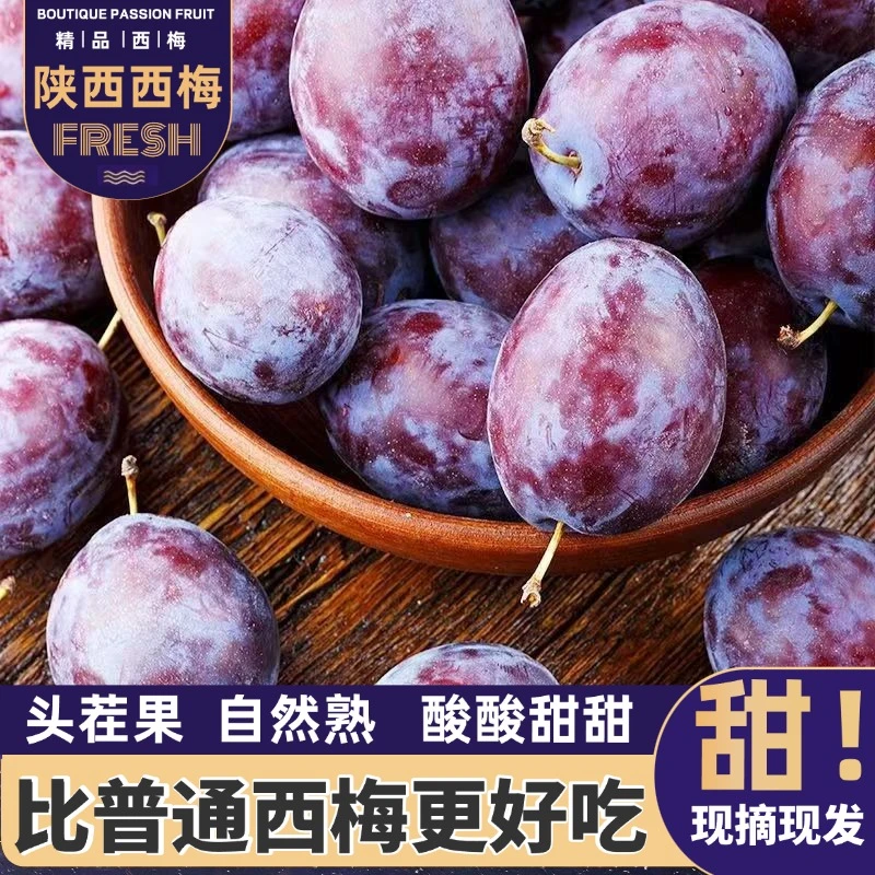 头茬现摘现发【5斤精品西梅】当季时令美味水果脆甜流汁高品质Q