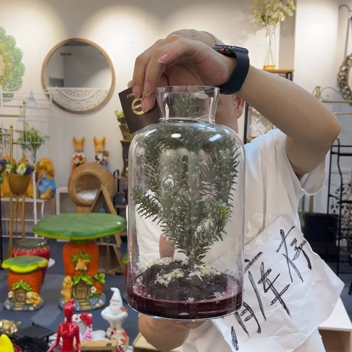 摆件哈哈哈哈哈哈哈