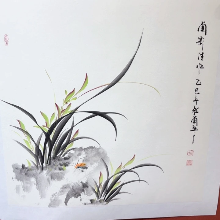 国画听兰老师花鸟