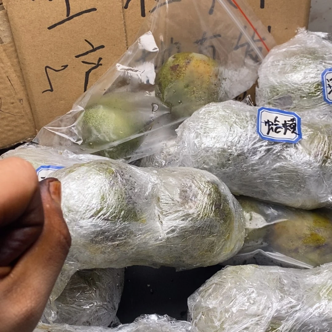 lyx产地直发白狮子32
