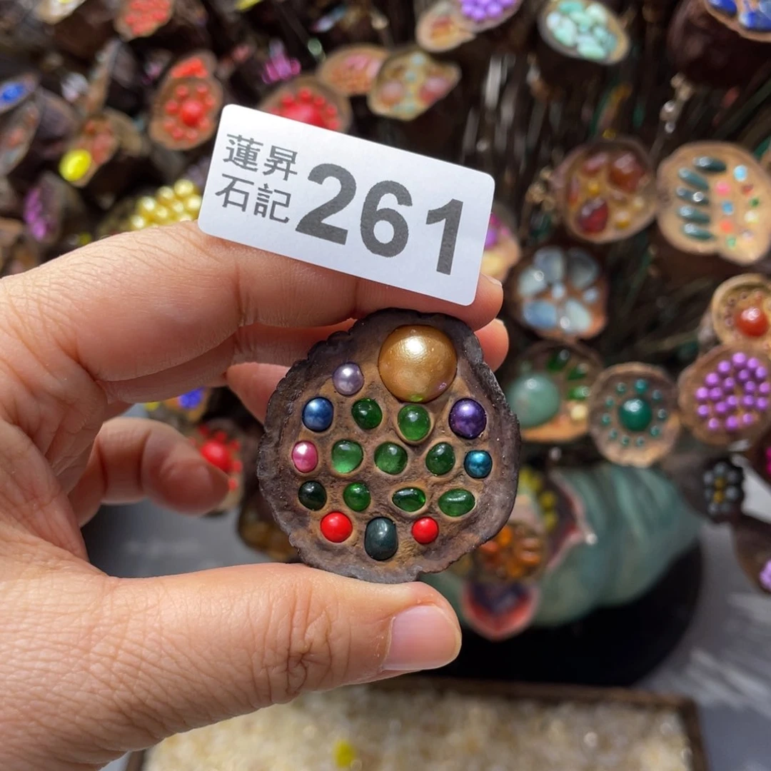 核桃木/黑胡桃（胡桃木）特**芃261